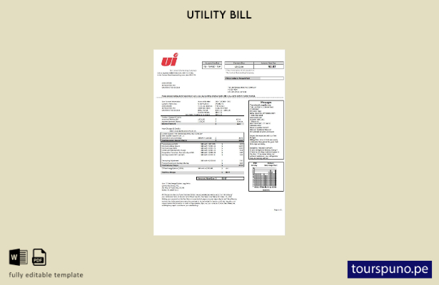 listo para imprimir EE. UU. Connecticut Plantilla de factura de servicios públic